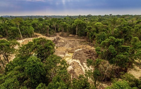 Illegal mining is causing deforestation and river pollution in the Amazon rainforest in Pará, Brazil – another way humans are damaging the environment
